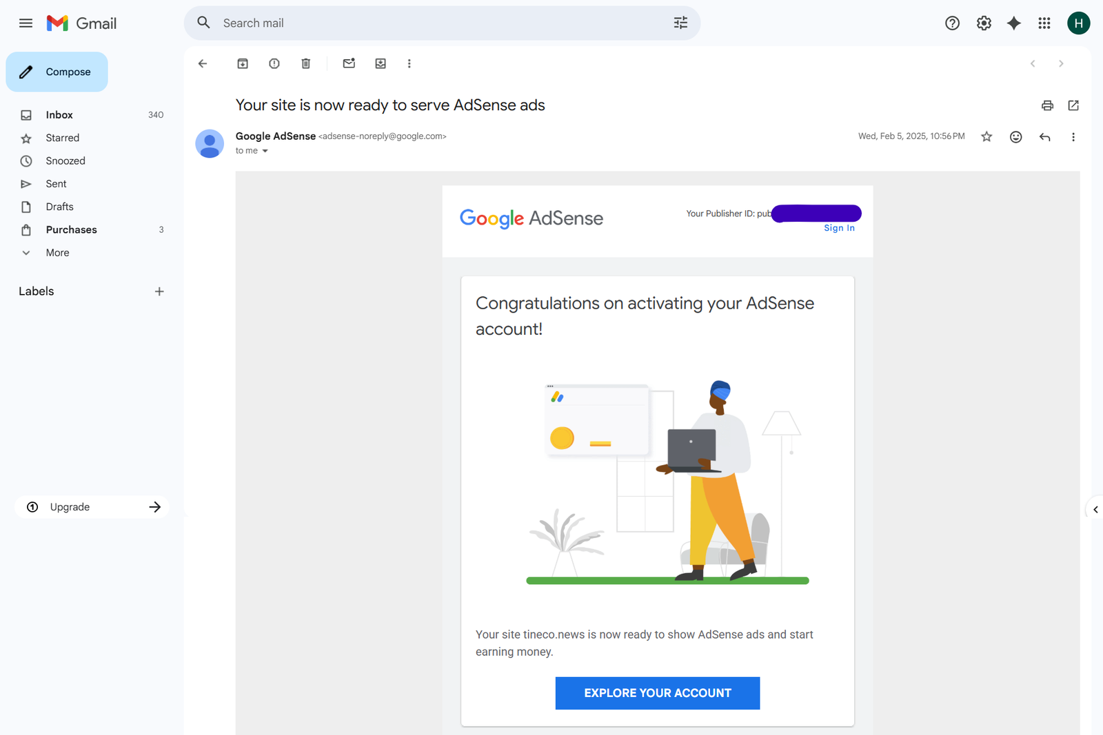 AdSense Approval tineco.news